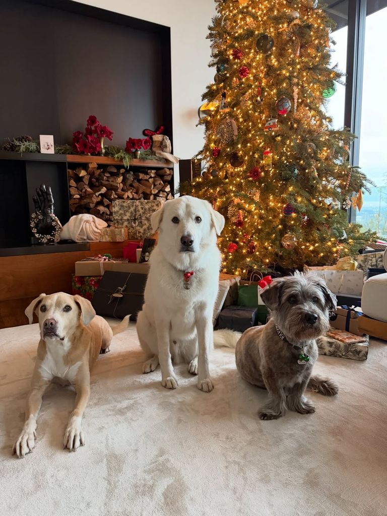 La bonita decoración navideña de su casa 