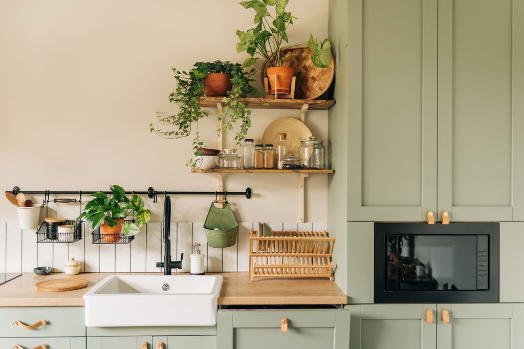 Plantas aromáticas y ornamentales en la cocina