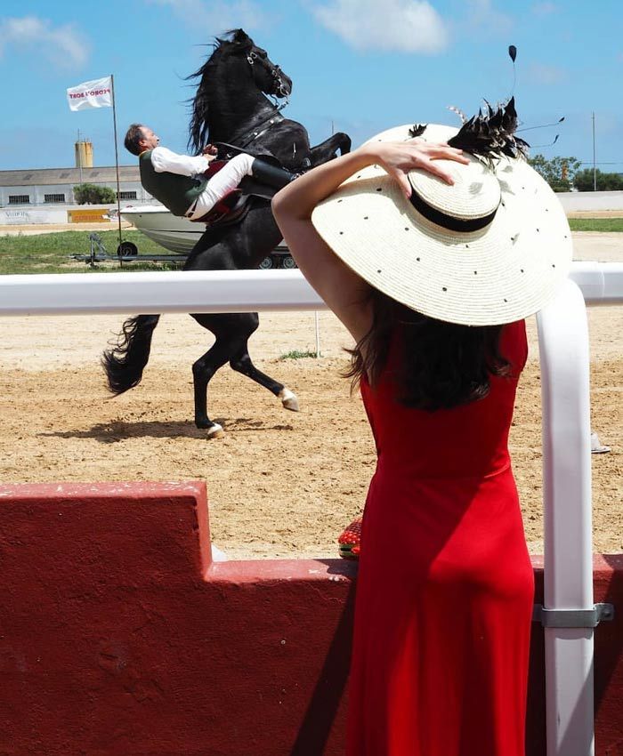 hats-horses-1