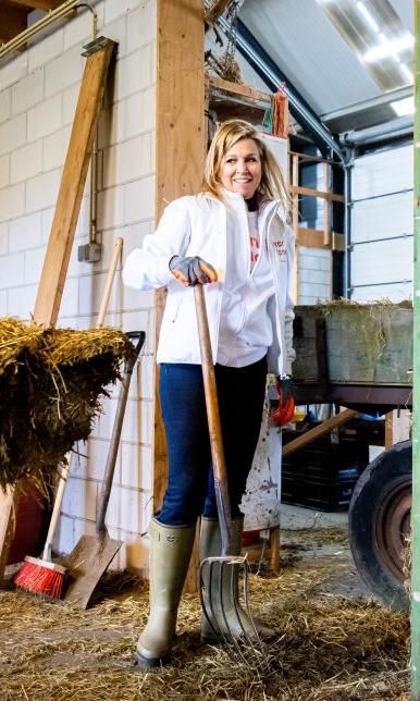 Máxima de Holanda