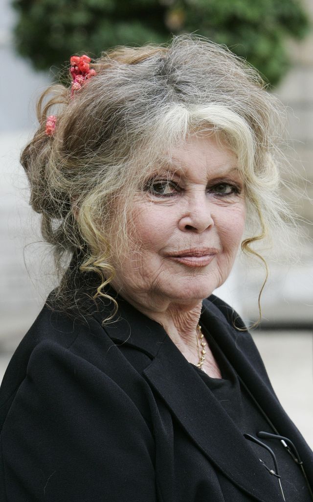 La actriz Brigitte Bardot en una charla sobre medio
