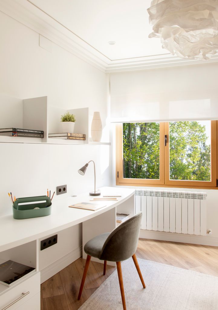 Zona de estudio en una habitación juvenil que se decora con una planta natural