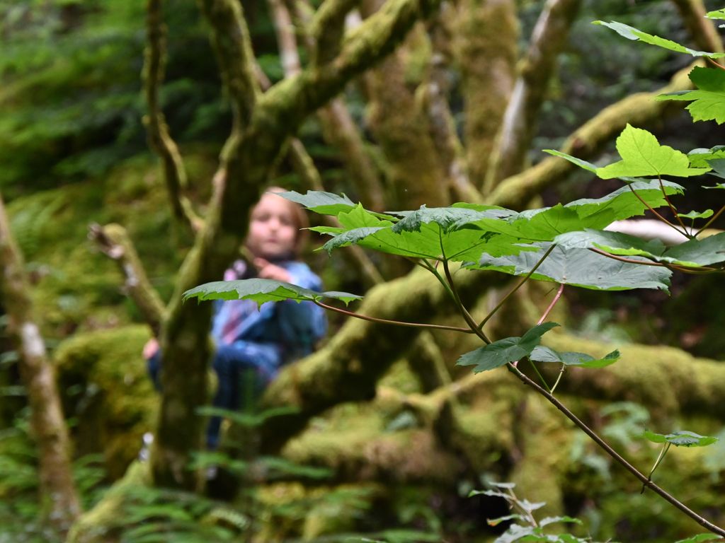 Los hijos de la pareja disfrutaron de la naturaleza en Escocia