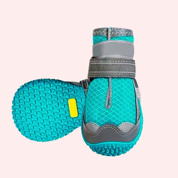 zapatos perro