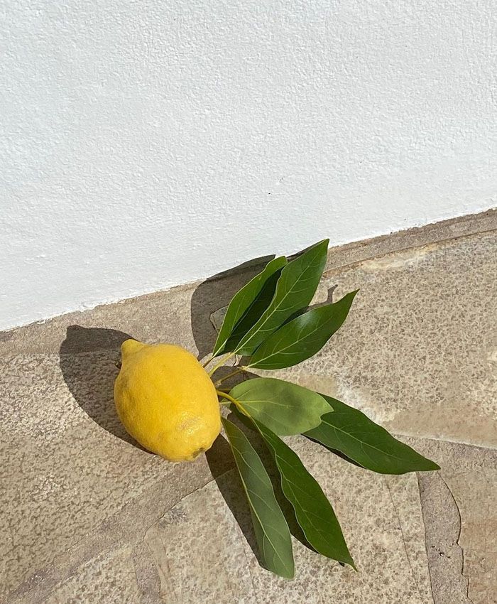 agua-limon