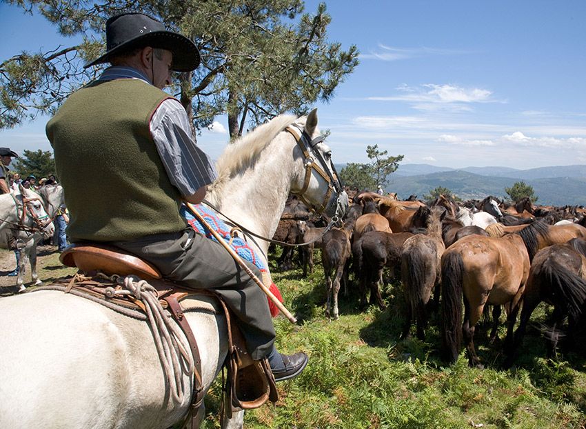 Rapa das Bestas, Sabucedo, Pontevedra