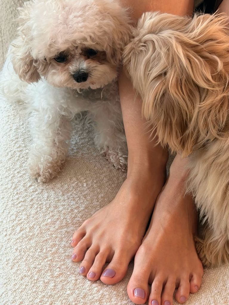 Pies de Tamara Falcó con pedicura malva y sus perros al lado