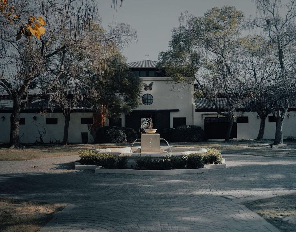 Media Image