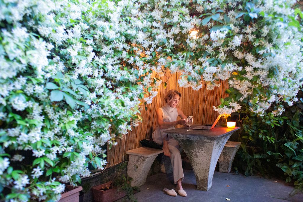 Jardín doméstico donde el jazmín común (‘Jasminum officinale’) tiene un gran protagonismo