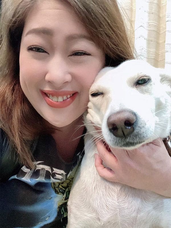 perro-tailandia-3
