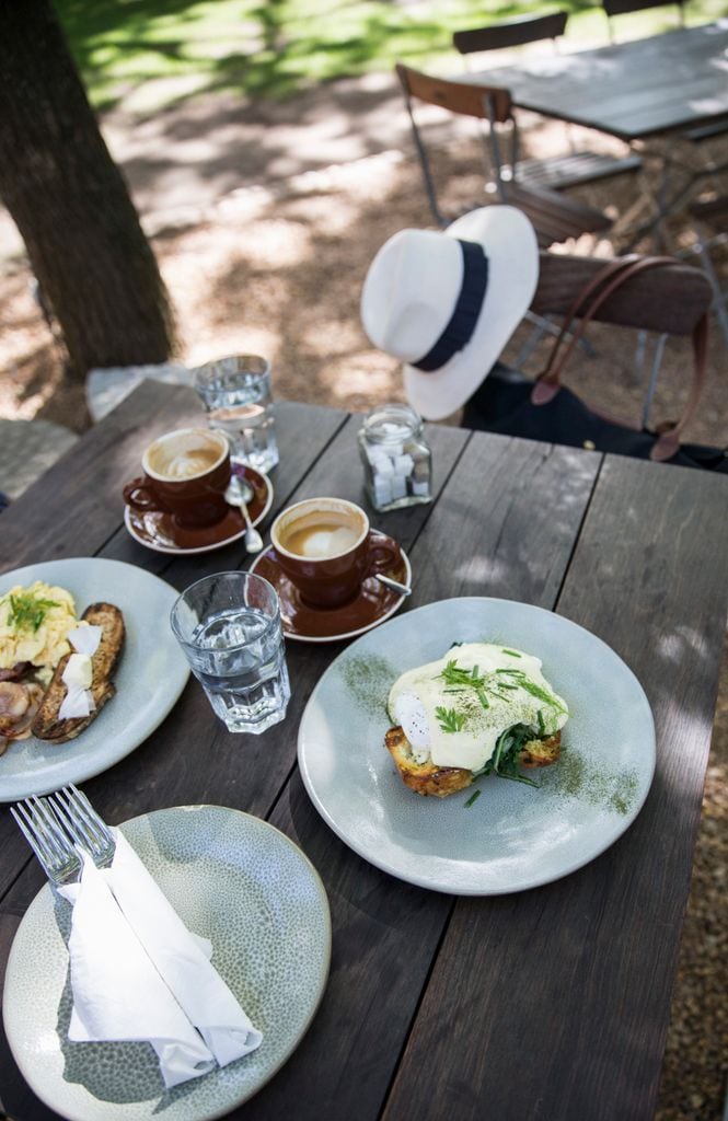 Desayuno al aire libre
