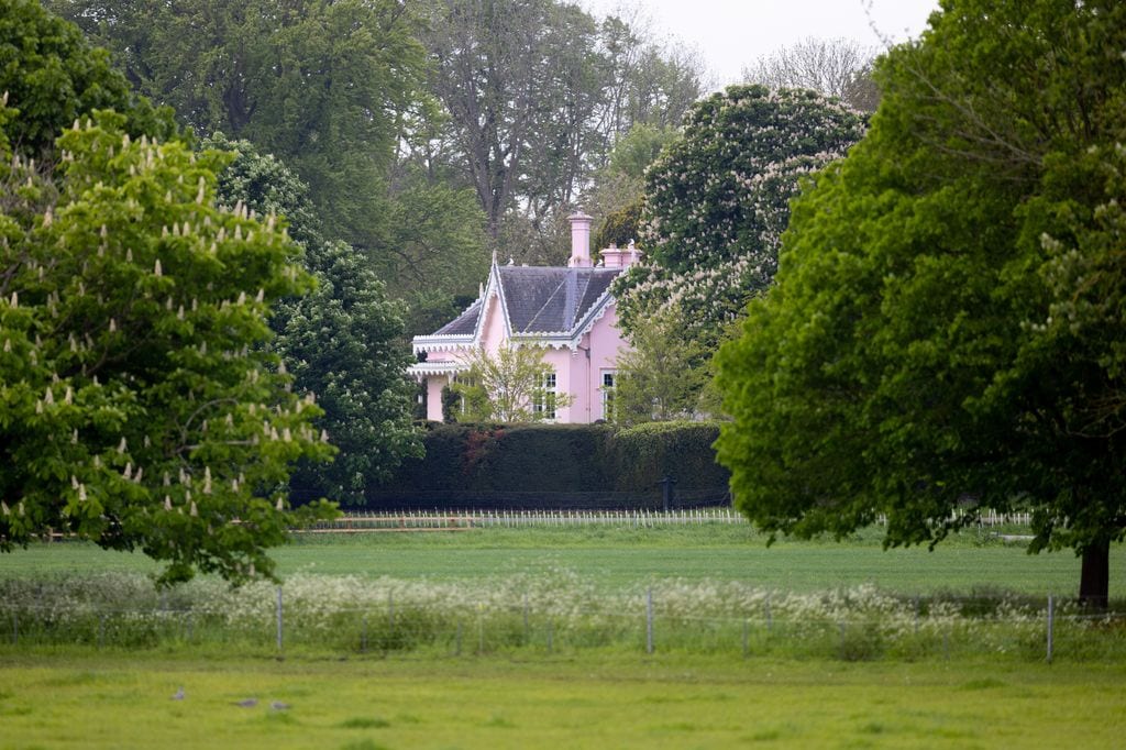Media Image