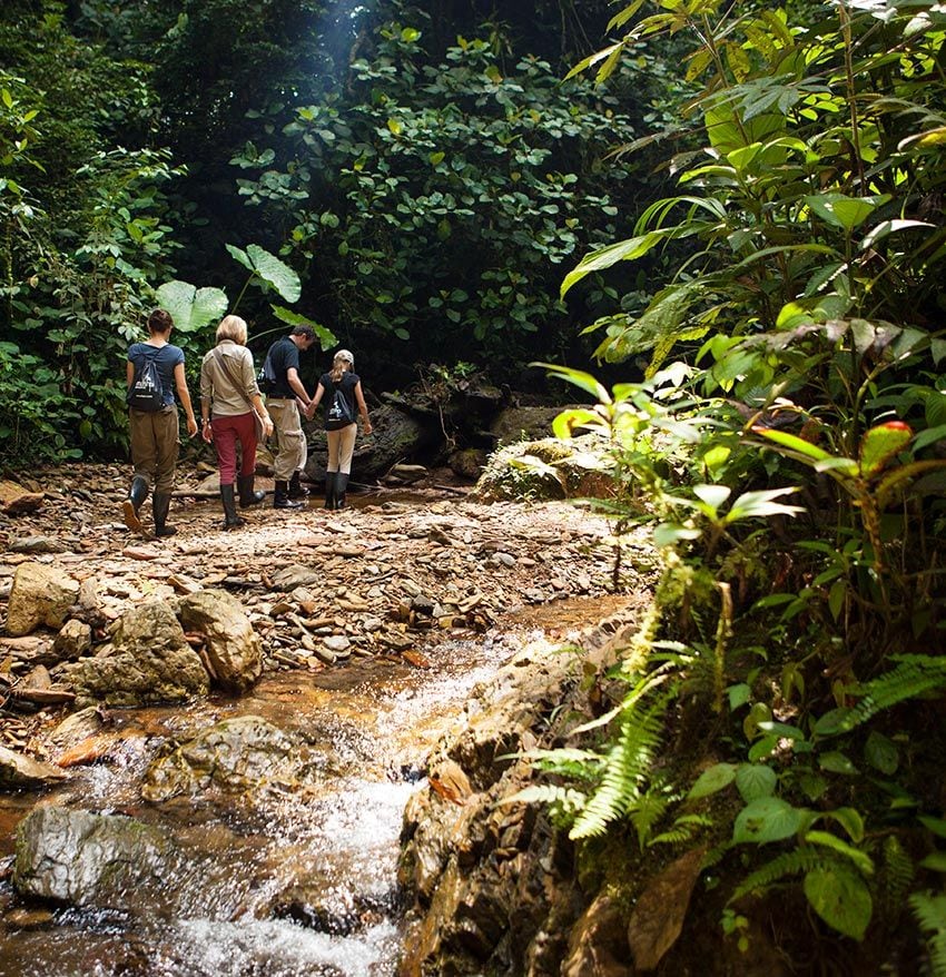 bosque-choco-ecuador-2