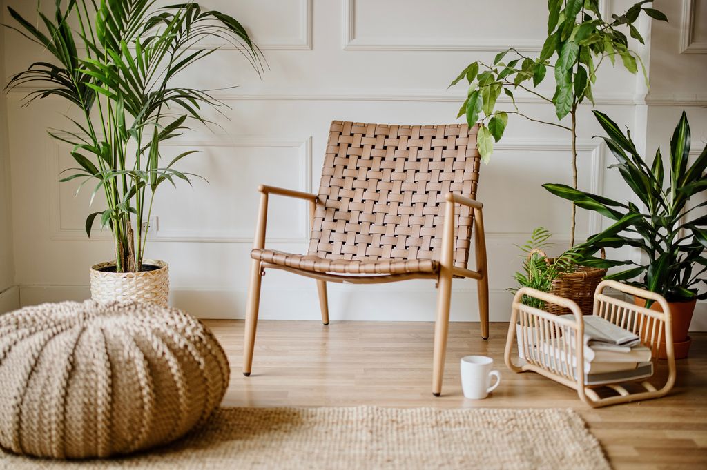 Habitación ambientada con plantas y materiales naturales. 