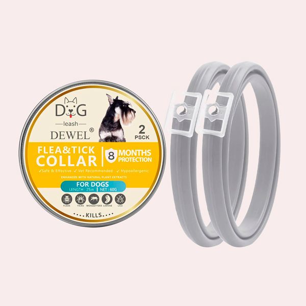 collar perros