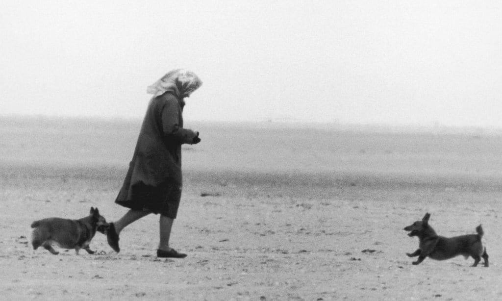 Her Majesty Queen Elizabeth II walking two of her corgis on the beach near Sandringham, Norfolk