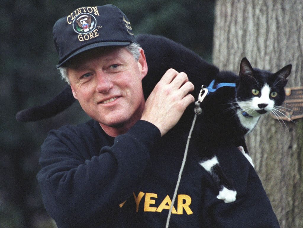 Socks (calcetines) era el gato del entonces presidente de los Estados Unidos, Bill Clinton. Desde 1993 vivió en la Casablanca y se colaba en todos los actos públicos, el 20 de Febrero de 2009 falleció y debido a eso se festeja para concientizar sobre la adopción de ésta mascota de compañía. 