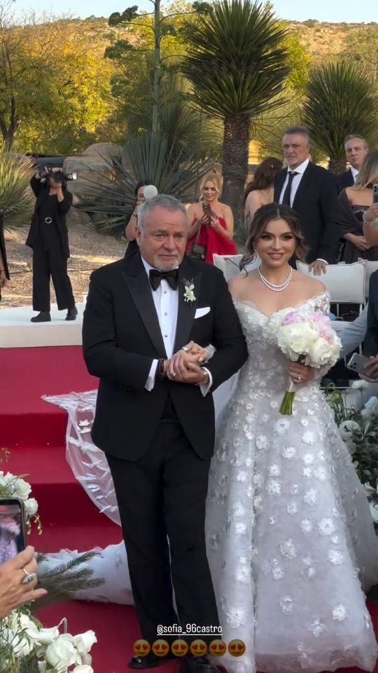 Vestido de novia de Sofía Castro