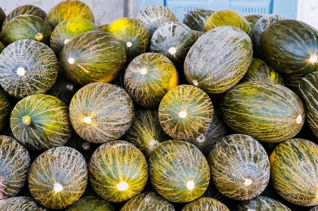 Melón piel de sapo
