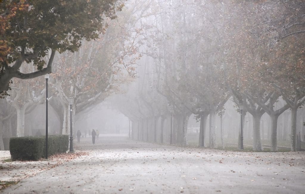 Las nieblas densas marcarán la última mañana del año, sobre todo en zonas del norte y la meseta Norte