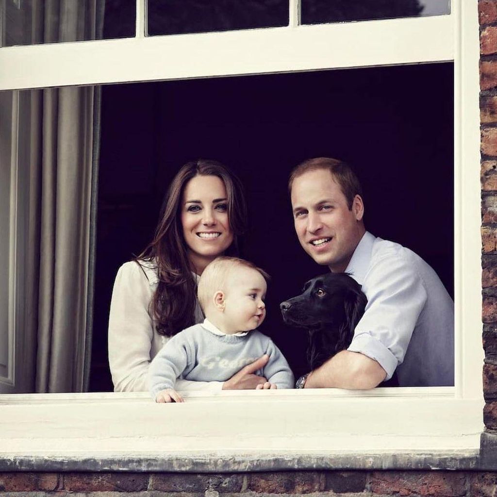 lupo el perro del pr ncipe william y kate middleton