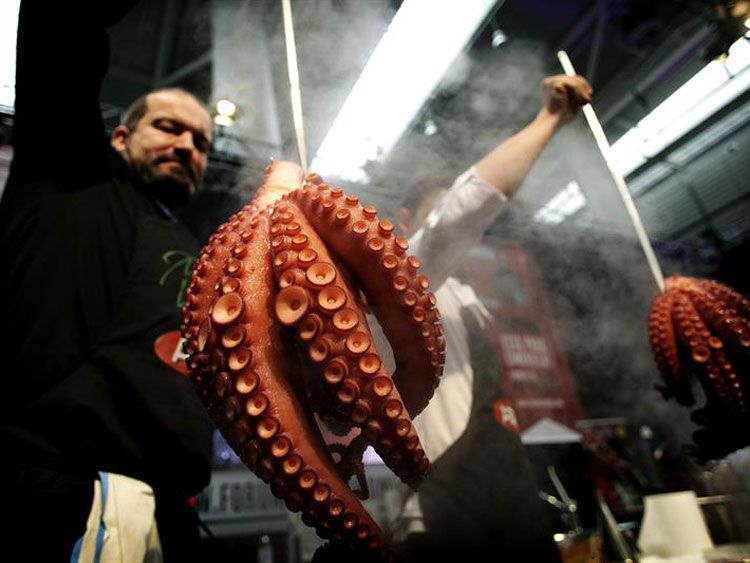 El 'Fórum Gastronómico' que estos días acoge La Coruña vuelve a convertirse en escaparate de lo mejor de la cocina gallega. 
