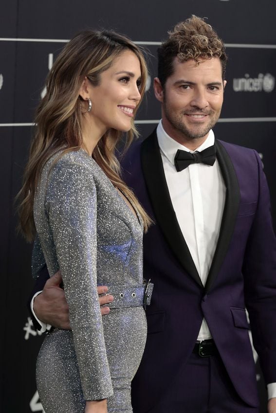 David Bisbal y Rosanna Zanetti 