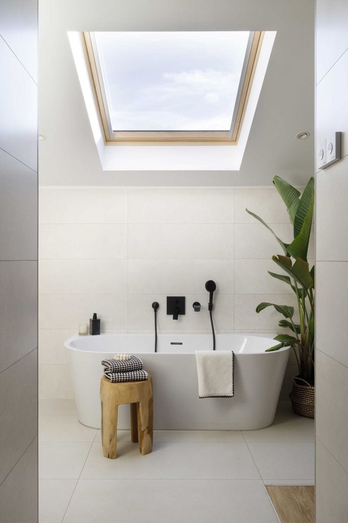 Baño con planta grande. 