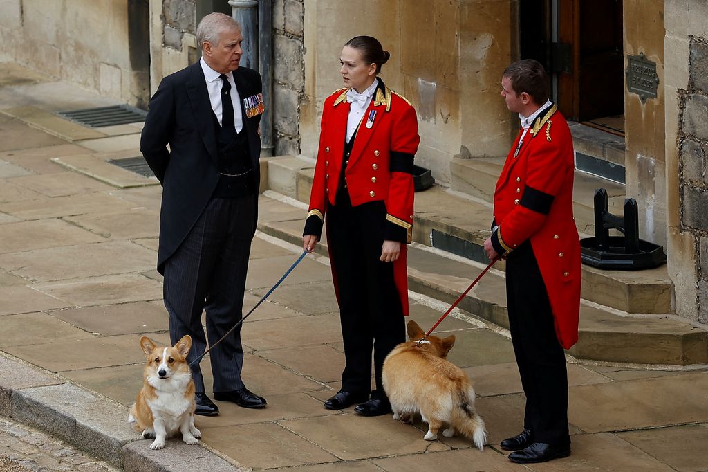 El que fuera duque de York, junto a las mascotas de su madre