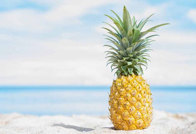pina-adobe