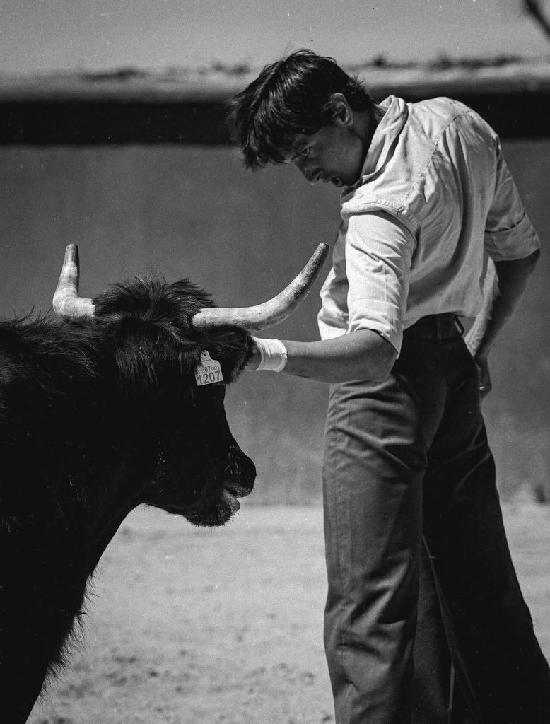 El torero peruano delante del toro tras la grave cogida