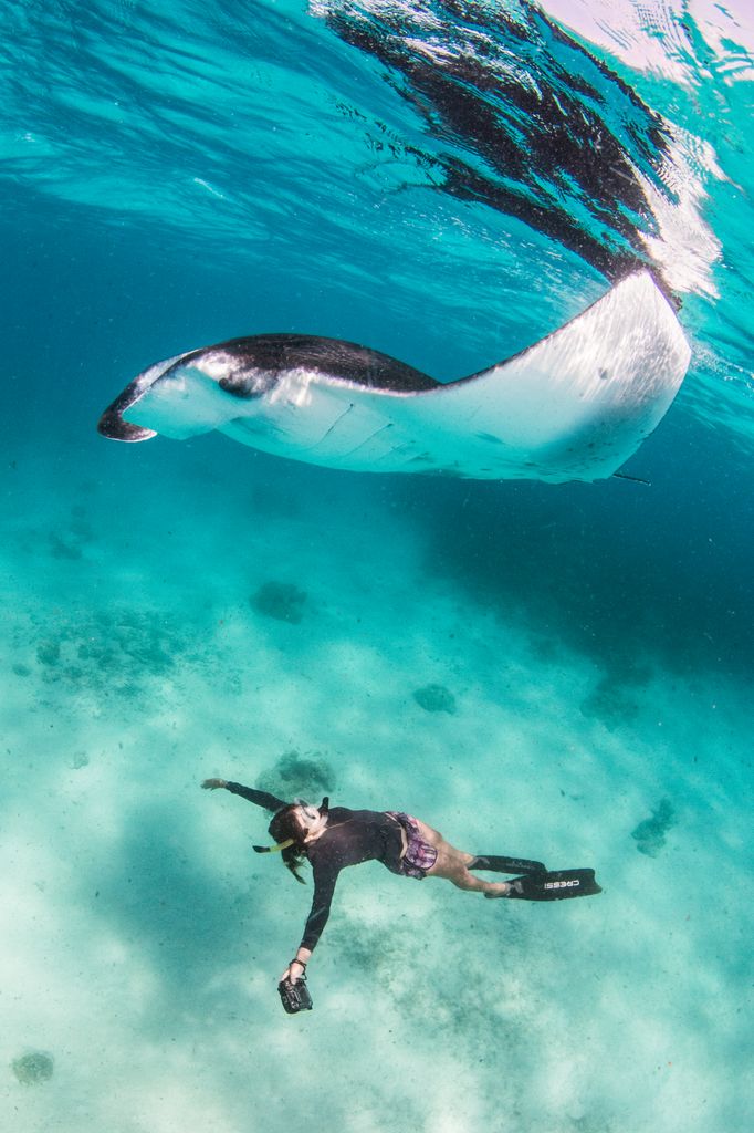 Manta Trust