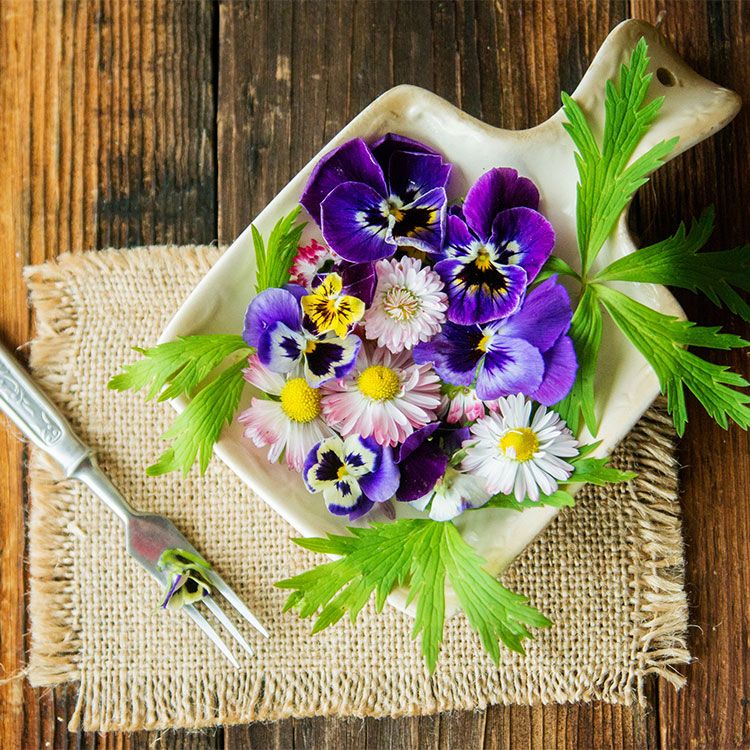 Mil y una flores para cocinar