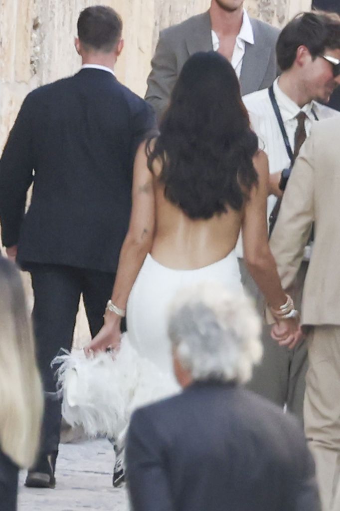 Detalle de la espalda del vestido de Dua Lipa