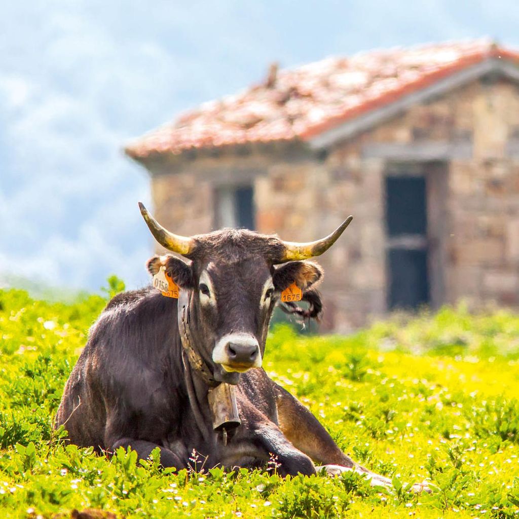 Cantabria
