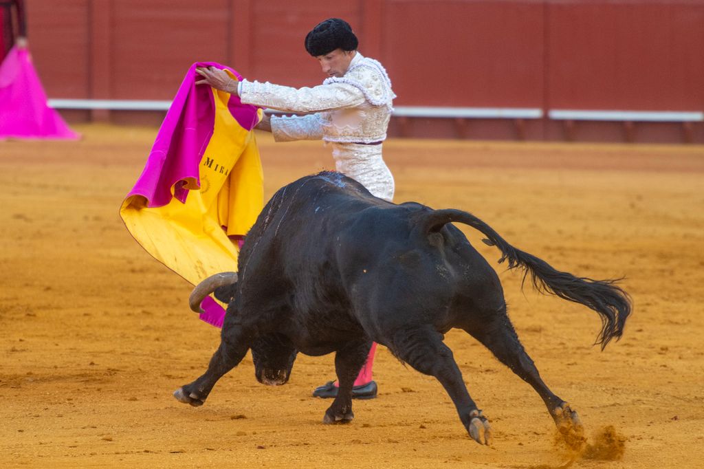 David Miranda, en plena faena