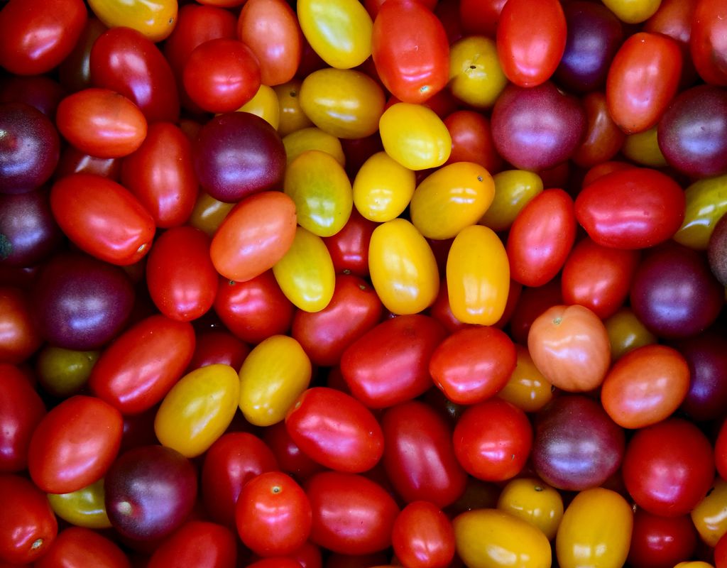 Cuanto más maduros y jugosos estén los tomates, más sabrosa será la panzanella, ya que su jugo forma parte del aliño.