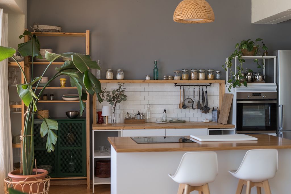 Plantas que decoran estancias