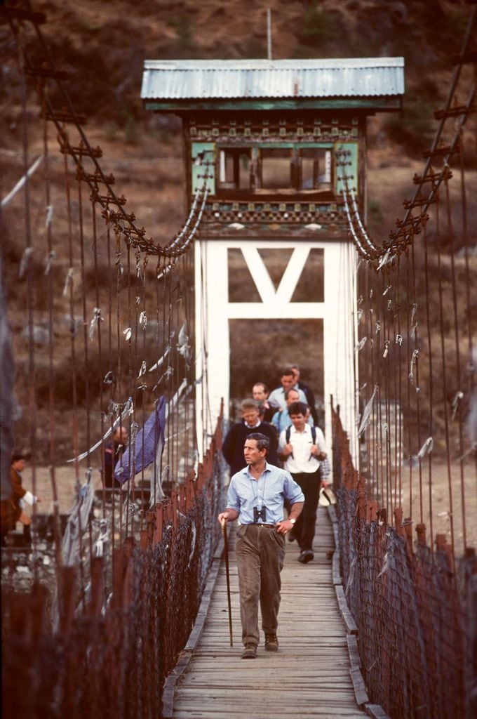 Media Image