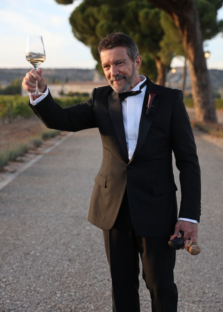 Antonio Banderas brindó con la prensa por el enlace de su hija Stella.