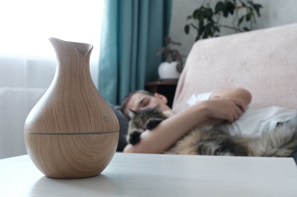 Salón con un chico y un gato abrazados y un aromatizador natural