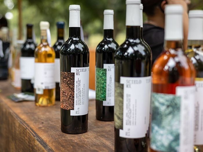 Botellas de vino de RGMX