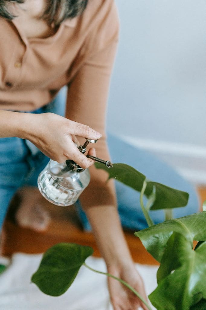 Mujer pulverizando las plantas.