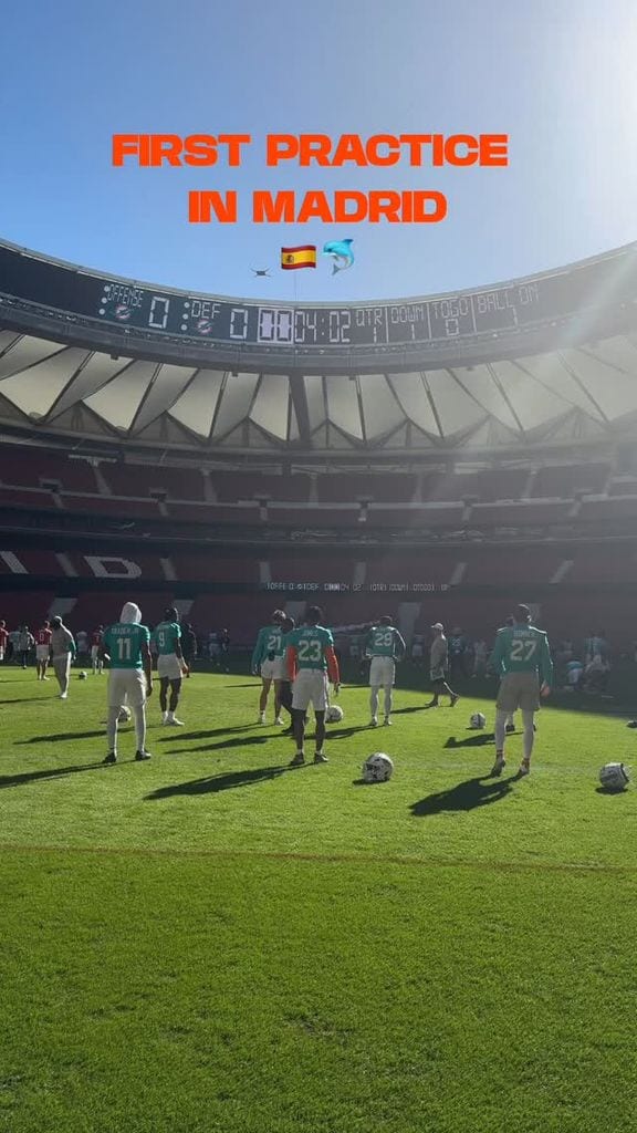 Los Dolphins entrenando en el Metropolitano