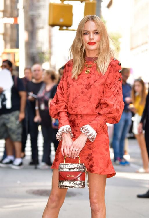 Kate Bosworth piel