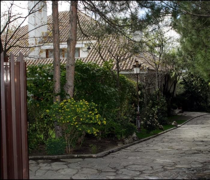 Montealto