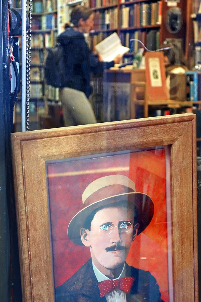 retrato-de-joyce-libreria