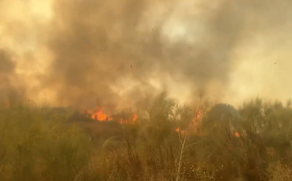 Incendio de Toledo