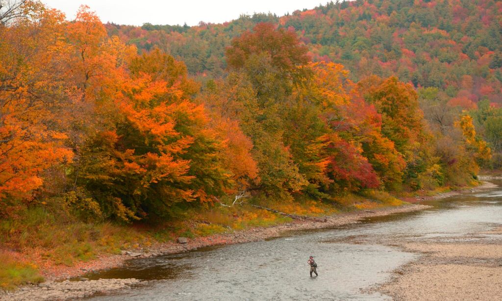 Man casts his fly line on Winooski River in Waterbury, Vermont during fall foliage.