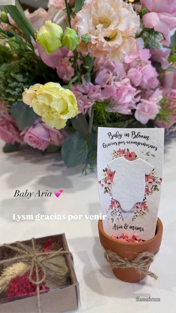 Ana Brenda Contreras celebra el baby shower de su hija, Aria 